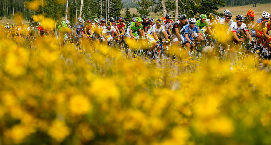 Riders on SR-14 during stage one of the Tour of Utah at Brian Head Tuesday August 6, 2013.