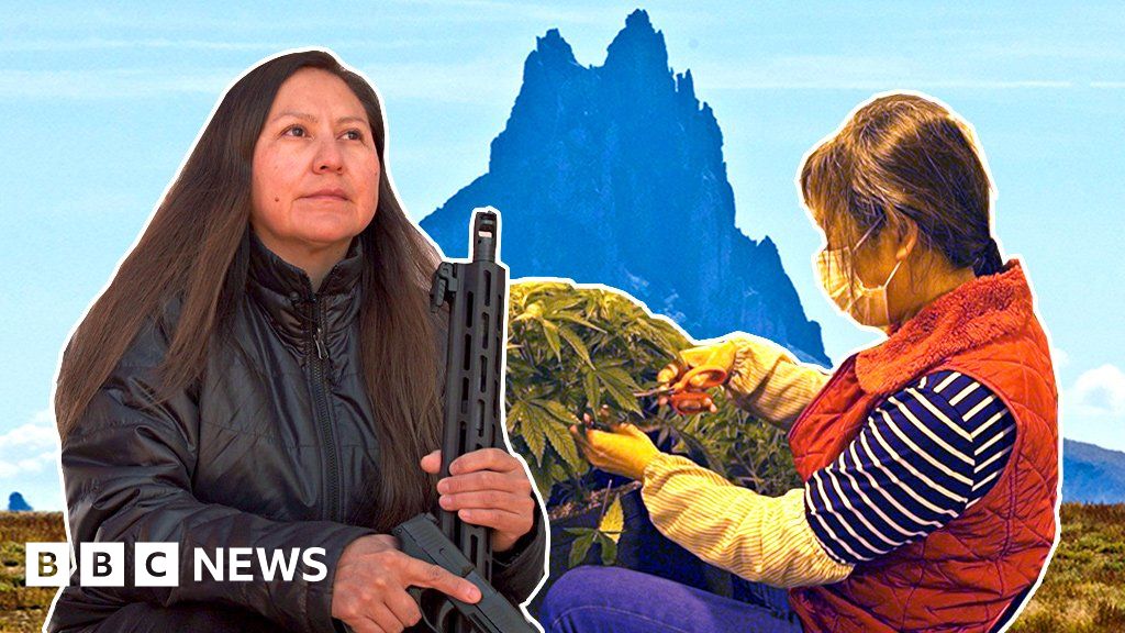Chinese dreams on Native American land: A tale of cannabis boom and bust – BBC News