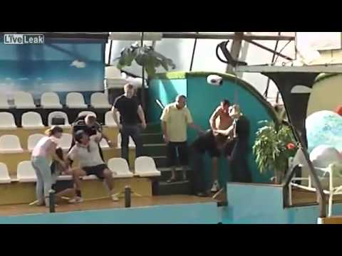 Russians Fight at a Aquarium