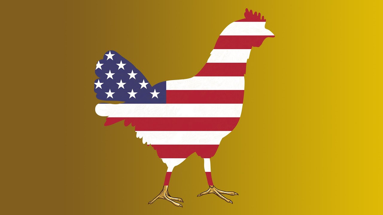 This Week in Tech 786 The Chickenization of America